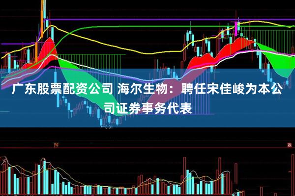 广东股票配资公司 海尔生物：聘任宋佳峻为本公司证券事务代表
